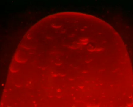 Blood Cell Stock Footage 616924