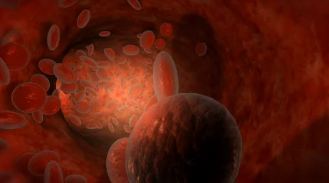 Blood cell inside human pulsing vein Stock Footage 647529