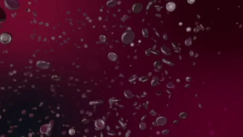 Blood Cells in a 3D animation Stock Footage 241567428