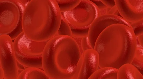 Blood cells, 3d render, animation Stock Footage 54359360