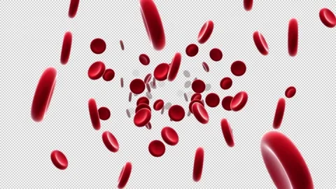 Blood Cells on Alpha Stock Footage 138238884