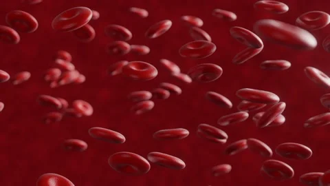 Blood cells animation Stock Footage 131862535