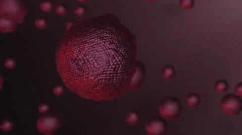 Blood Cells in Body Animation Stock Footage