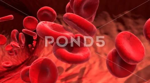Blood cells circulating in the blood vessels Stock Illustration