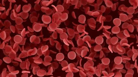 Blood cells close up. Stock Illustration