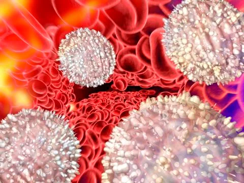Blood cells, computer artwork Stock Illustration