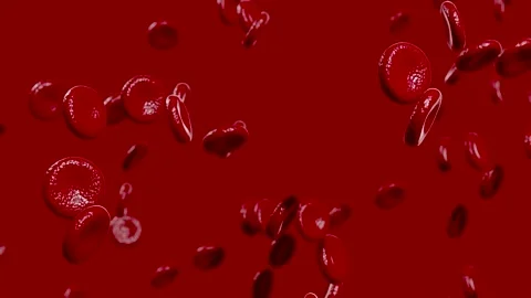 Blood cells floating in slow motion. 3D rendered footage Video stock 130804952