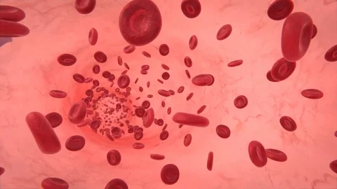 Blood cells flow Stock Footage 87790195