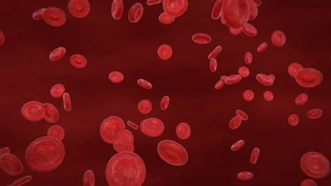 Blood Cells Flow Stock Footage 87790229
