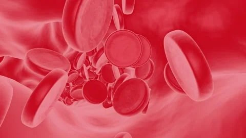 Blood Cells Flowing Animation Video stock 273225280