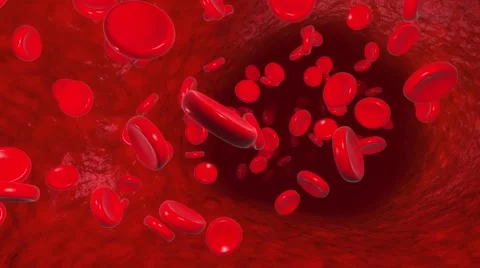 Blood cells flowing Stock Footage 40558221