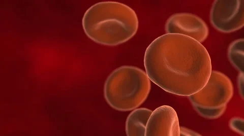 Blood Cells flowing through vein Stock Footage