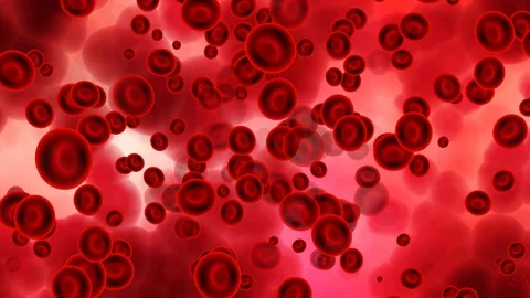 Blood cells flows in random directions Stock Footage 129590000