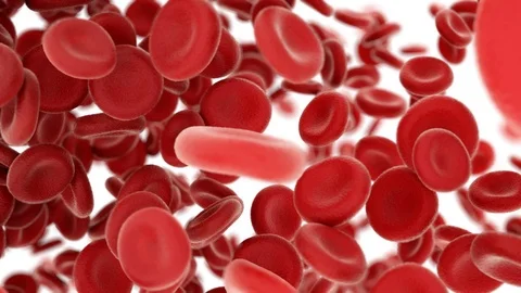 Blood cells flying through arteries on w... | Stock Video | Pond5
