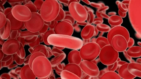 Blood cells flying through arteries on b... | Stock Video | Pond5