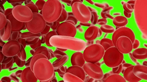 Blood cells flying through arteries on g... | Stock Video | Pond5