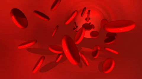 Blood cells Stock Footage 445094