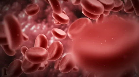 Blood cells. Stock Footage 595683