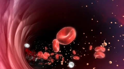 Blood Cells 库存影片 5965051