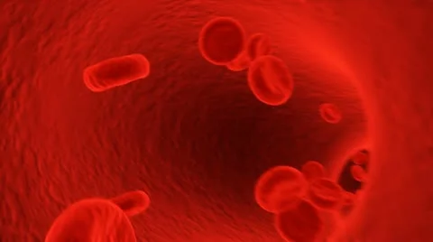 Blood cells Stock Footage 11138609