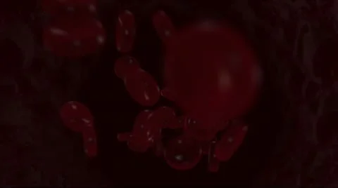 Blood cells Stock Footage 12394454
