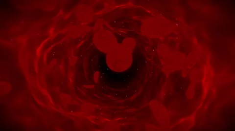 Blood Cells Vidéo 42085959