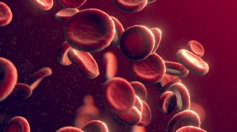 Blood cells Stock Footage 46471513