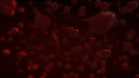 Blood Cells  Stock Footage 60797519