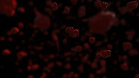 Blood Cells Stock Footage 60797531