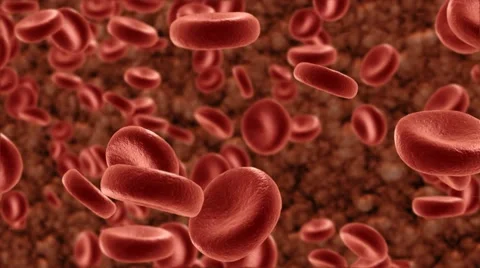 Blood Cells Stock-Footage 62809860