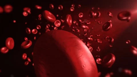 Blood cells Stock Footage 90121584
