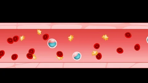 Blood cells Vidéo 116049431