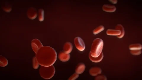 Blood cells Stock Footage