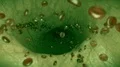 Blood cells green vein artery bloodcells science fiction alien biology zombie 4k 4k or 4k+ Resolution