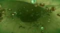Blood cells green vein artery bloodcells science fiction alien biology zombie 4k 4k or 4k+ Resolution