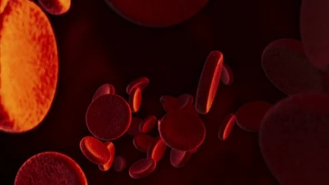 Blood Cells Ill Stock Footage 71532645