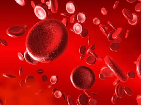 Blood cells Stock Illustration