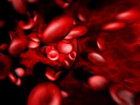 Blood cells Stock Illustration