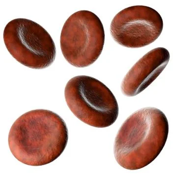 Blood cells Stock Illustration