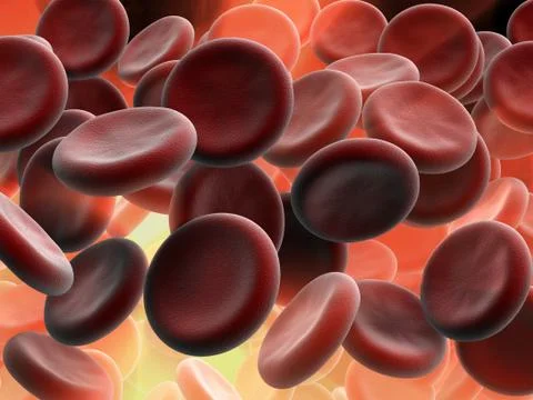 Blood cells Stock Illustration