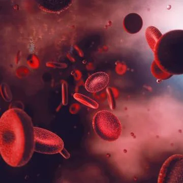Blood Cells Illustrazione stock