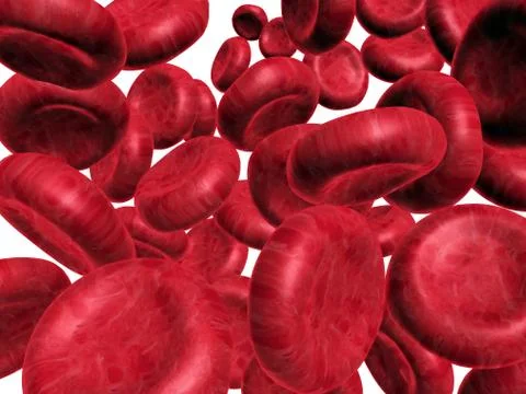 Blood cells. Stock Illustration