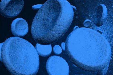 Blood cells. Stock Illustration
