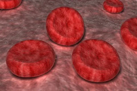 Blood cells. Stock Illustration