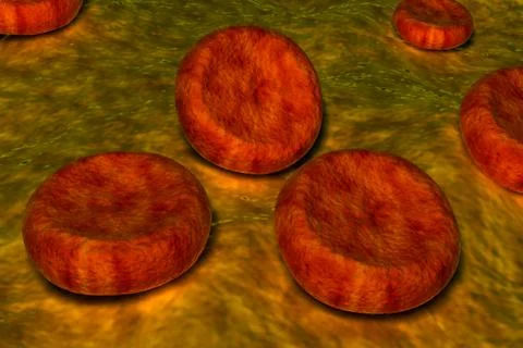 Blood cells Illustrazione stock