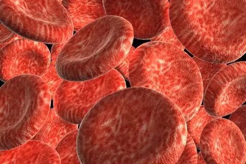 Blood cells Stock Illustration