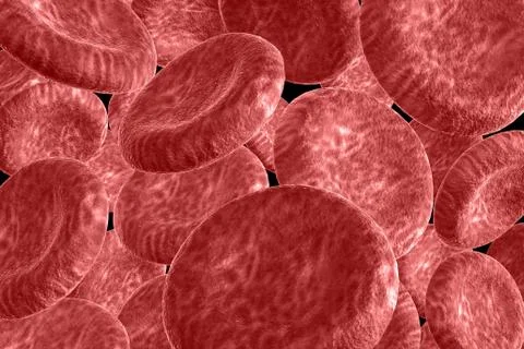 Blood cells. Stock Illustration