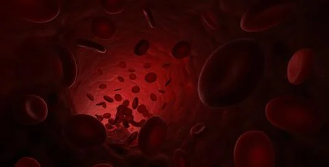 Blood Cells Illustration