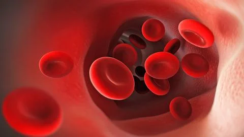 Blood cells Ilustração Stock