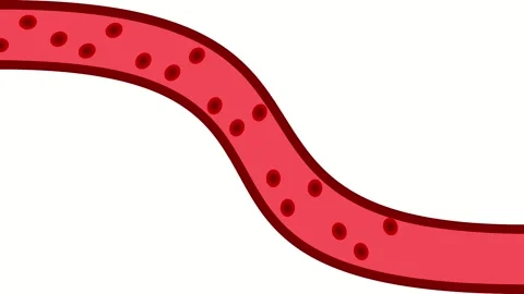 Blood Cells in Motion Stock Footage 317143507